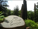 Singapore Botanic Gardens